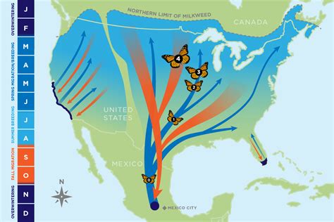 Monarch Butterfly Habitat Information | Conservation Habitat Management Portal