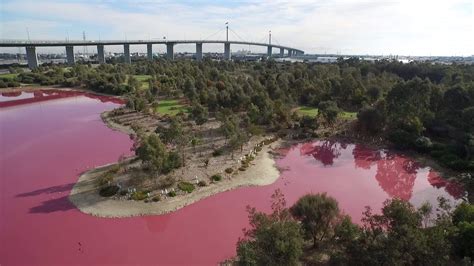 Melbourne's Westgate Park Lake Has Turned a Candy-Coloured Pink Again - Concrete Playground