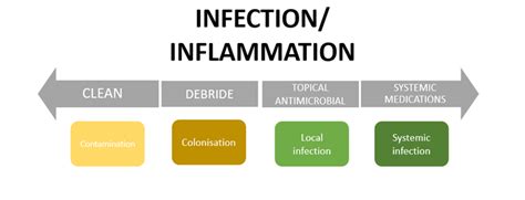 Wound Infection Signs