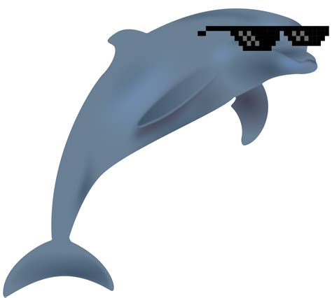 Clipart dolphin basic, Clipart dolphin basic Transparent FREE for ...