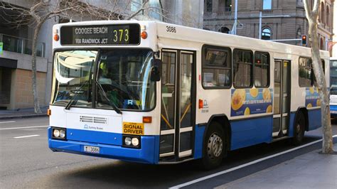 Sydney Bus Drivers Go on 24-Hour Strike, Leaving Many Routes Cancelled ...