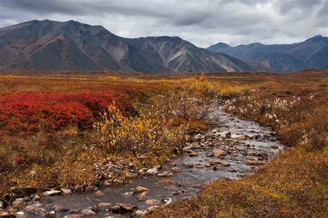 Chukotka Autonomous Okrug Mountains