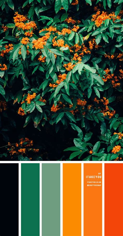 Black Green and Orange Color Scheme – Color Palette #32 | Orange color schemes, Orange color ...