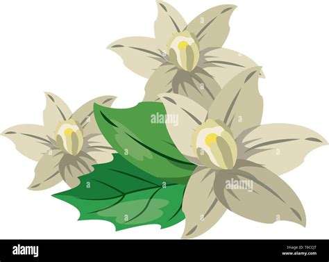 Flowers nature drawing isolated Stock Vector Image & Art - Alamy