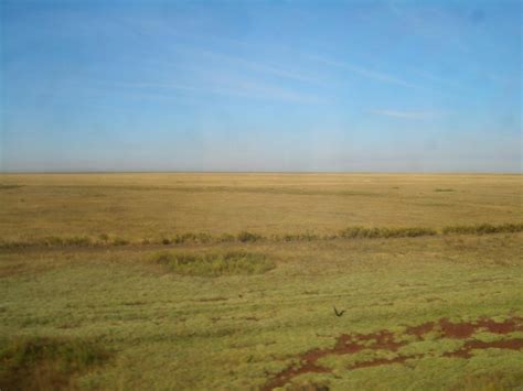 Kazakh Steppe | One Earth