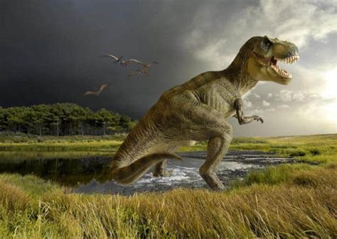 Dinosaurs were warm-blooded, new study finds