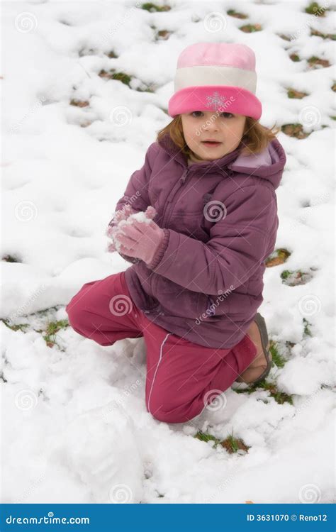 First snow stock photo. Image of snow, winter, season - 3631070