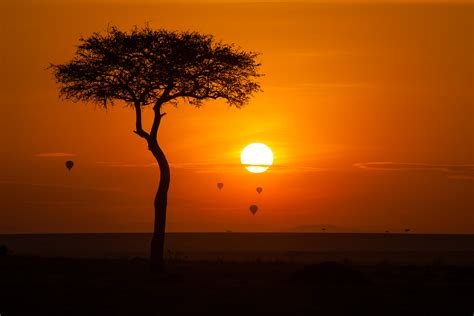 Sunrise in Maasai Mara National Reserve, Kenya