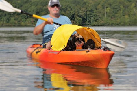 Dog paddling sun shade for kayaks, canoes and SUPs (yellow) | Kayaking ...