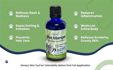 Holistic Treatment For Mange In Dogs | visitchile.cl
