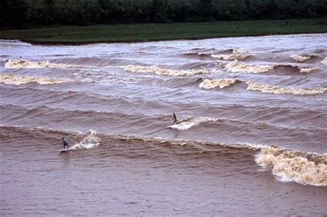 Never-Ending 'Pororoca' Wave In Brazil is a surfers paradise - Strange Sounds