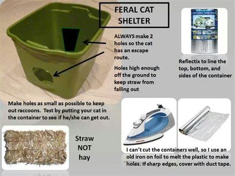 How To Build A Feral Cat Shelter For Winter - Cat Lovster