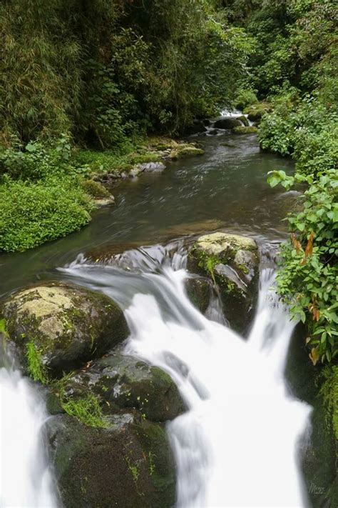 Sueños del bosque | Outdoor, Waterfall, Water