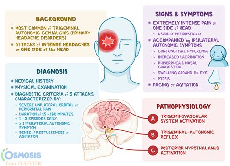 Cluster Headaches: What Are They, Causes, Treatment, and More | Osmosis