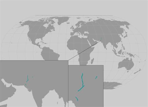 Indus River Dolphin | NOAA Fisheries