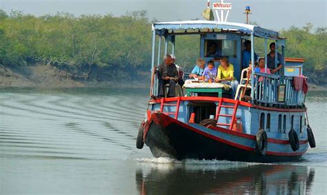 7 Top Sundarban Tour Operators and Packages