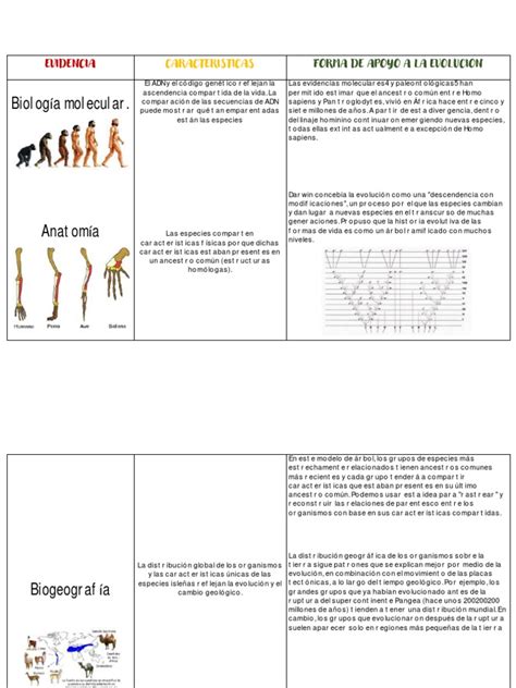 Evidencia de La Evolucion | PDF | Evolución | Naturaleza