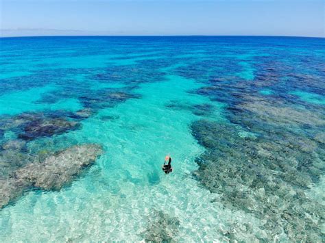 10 Best Places to Snorkel in Tonga - Tonga Pocket Guide