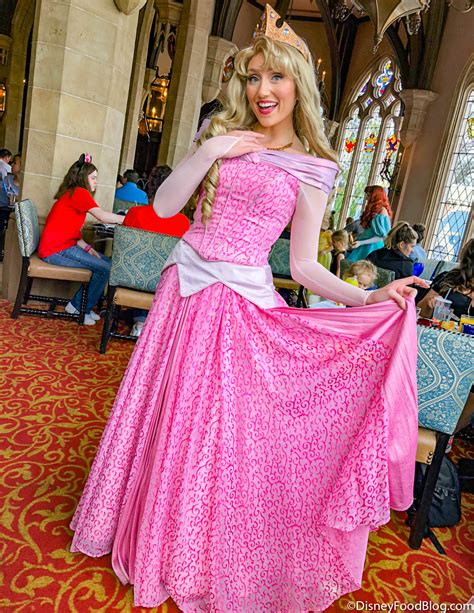 ALERT: Cinderella’s Royal Table Sees Another BIG Character Meet and Greet Change in Disney World ...