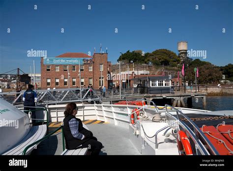 ferry at cockatoo island ferry station parramatta river sydney new ...