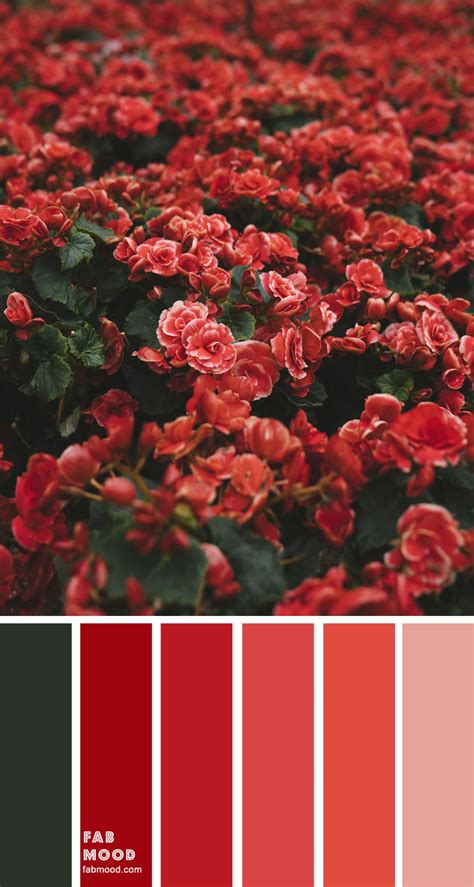 Red Wedding Color Palette