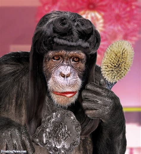 Animal Wigs | Funny wigs, Monkey face, Animals