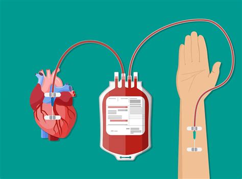 Risks Of Blood Transfusion (Bt) Hazards - Public Health - Mediniz ...