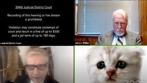 Texas Lawyer Hilariously Turns Into A Cat During Zoom Meeting - Narcity