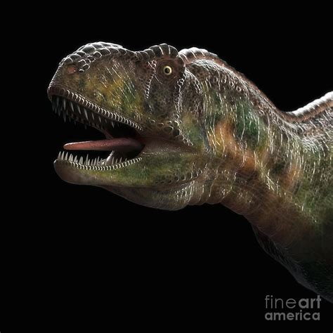 Dinosaur Aucasaurus Photograph by Science Picture Co - Fine Art America