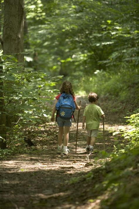 Free picture: children, hiking, forest