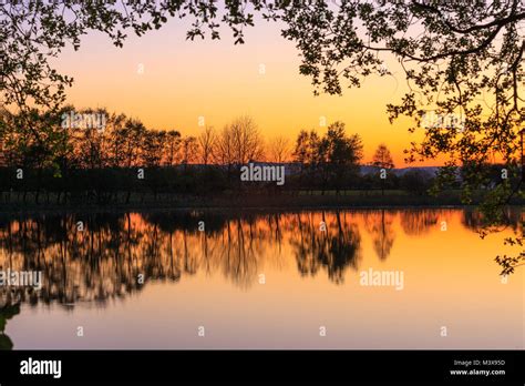 Tregaron nature reserve Cors Caron Tregaron Ceredigion Wales Stock Photo - Alamy