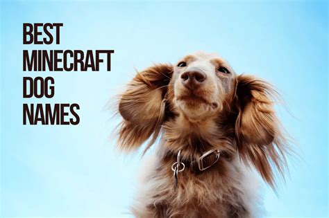 Minecraft Dog Names 134+ Best & Cute & Top Dog Names - PetShoper