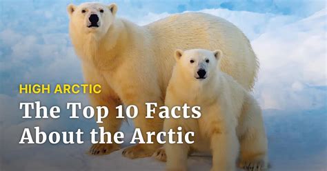 Top of the World: Ten Facts About the Arctic | Adventure Canada