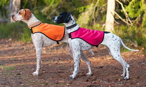 Hunting vests for dogs Dog Vest Safety Dog Vest | Etsy