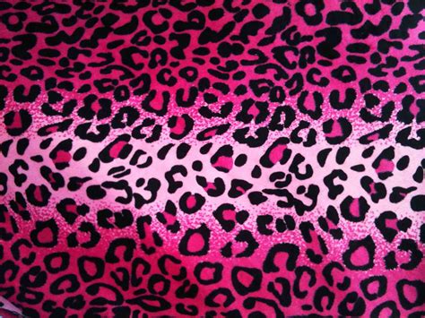 Leopard Print Pink Wallpapers on WallpaperDog