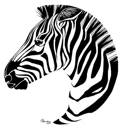 Zebra Sketch Easy at PaintingValley.com | Explore collection of Zebra Sketch Easy