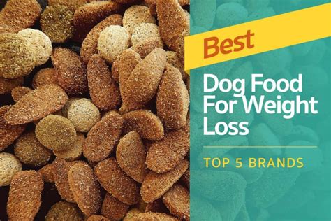 Best Dog Food For Weight Loss: Top 5 Brands