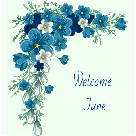 Welcome June! | Flower border png, Flower frame, Flower border