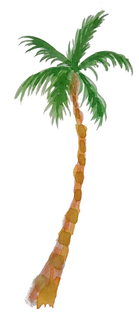 watercolor palm tree png 16583617 PNG