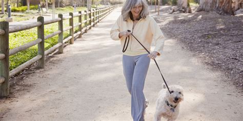 A Letter to the Woman Walking Her Dog in My Neighborhood | HuffPost