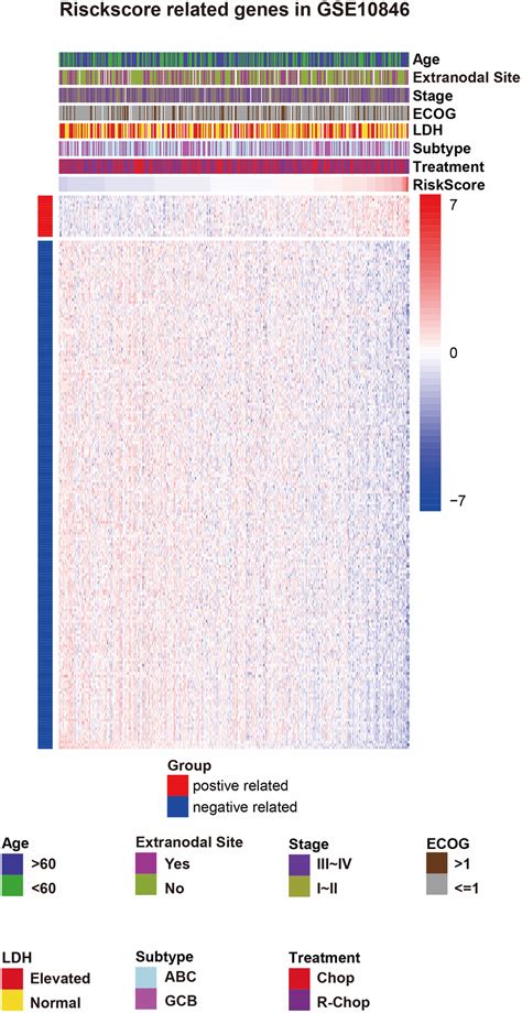 B7-CD28 gene family expression is associated with prognostic and immunological characteristics ...