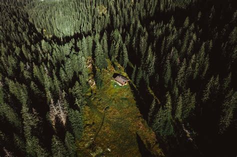 Aerial View of a Secluded Forest Hut at Night · Free Stock Photo