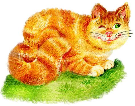 Best Ginger Cat Illustrations, Royalty-Free Vector Graphics & Clip Art ...