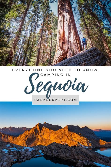 Sequoia National Park Camping: The Best Guide to All 7 Campgrounds