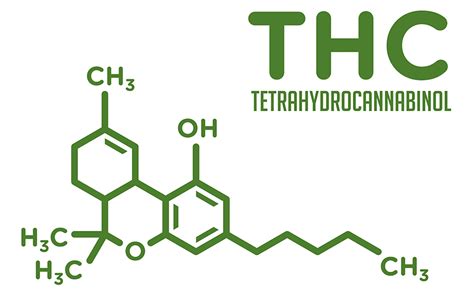 What Is Delta-10 Thc? Learn About Its Effects, Benefits, And More