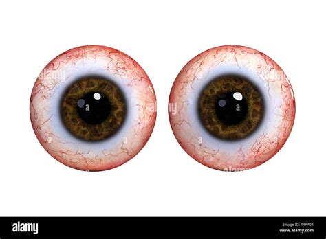 Iris eye cutout hi-res stock photography and images - Alamy