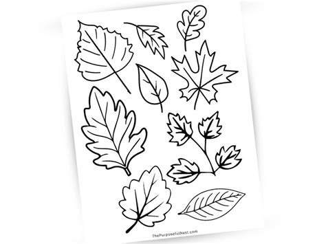 FREE Thanksgiving Coloring Pages for Kids - The Purposeful Nest