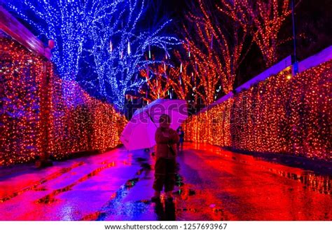 61 Zoo Lights Portland Images, Stock Photos & Vectors | Shutterstock