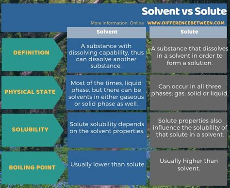 Difference Between Solvent and Solute | Compare the Difference Between Similar Terms