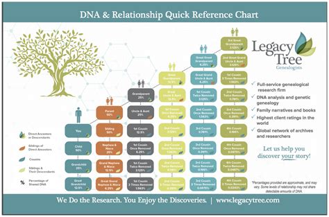 Test Older Relatives First When Doing DNA Tests